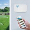 Thompson Irrigation and Lawn gift card