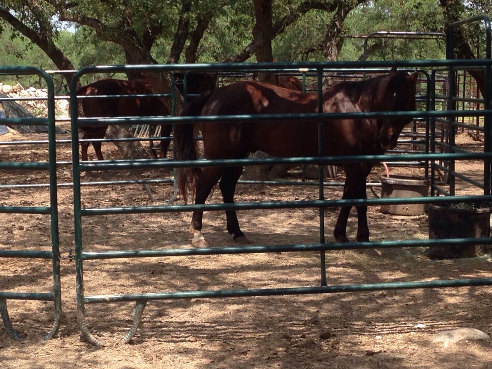 Hollow Tree Ranch 31 Photos & 27 Reviews Horseback Riding 789