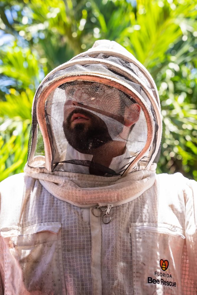 Florida Bee Rescue
