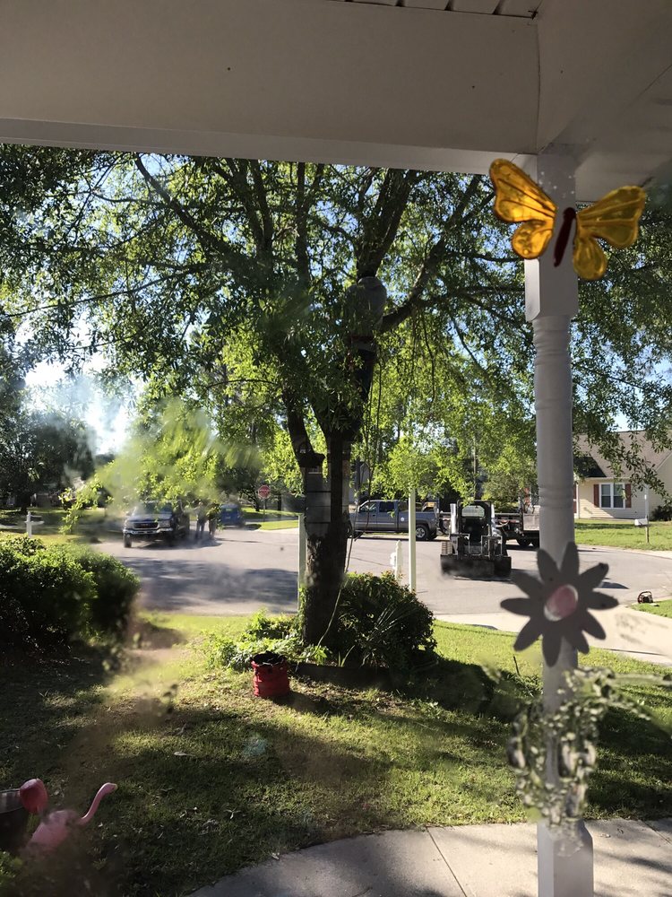 Eddie's Tree Service