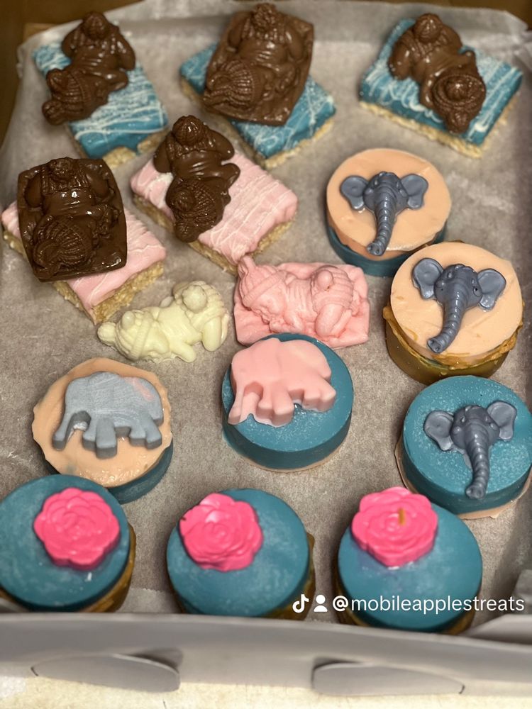 Shon’s Mobile Apples & Treats