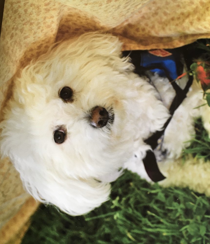 image of business Robert Erickson, DMD