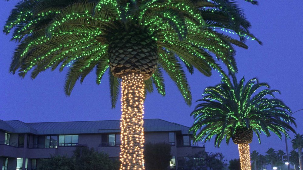 Christian Smith Special Event Lighting