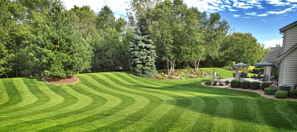 Force Of Nature Lawn Care Closed Landscaping Williamsburg Va Photo Of Force Nature Lawn Care Williamsburg Va United States