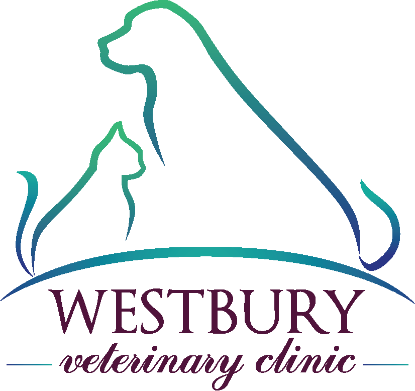 Westbury Veterinary Clinic Pet Groomers 1497 W 5th St N St, Summerville, SC Phone Number