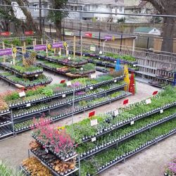 Soil Service Garden Center 23 Photos 18 Reviews Nurseries Photo Of Soil Service Garden Center Kansas City Mo United States