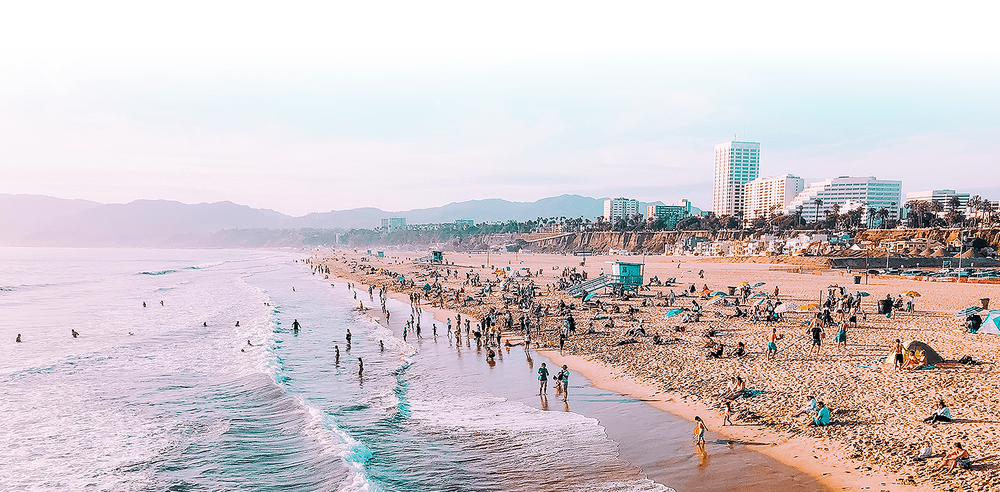 image of business Charles C Wood, DDS