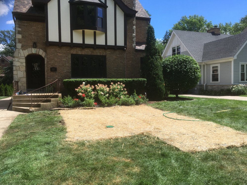 image of business Chicago Tank Removal