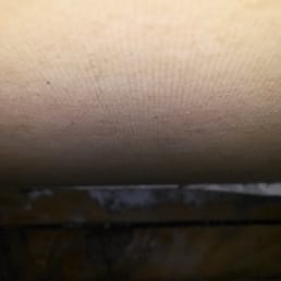 Sears Carpet And Air Duct Cleaning Closed 13 Photos Photo Of Sears Carpet And Air Duct Cleaning Louisville Ky United States