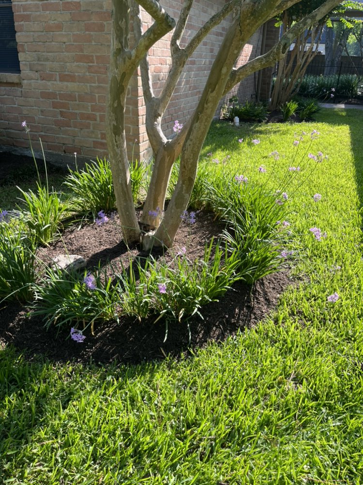Patlan Landscape & Irrigation