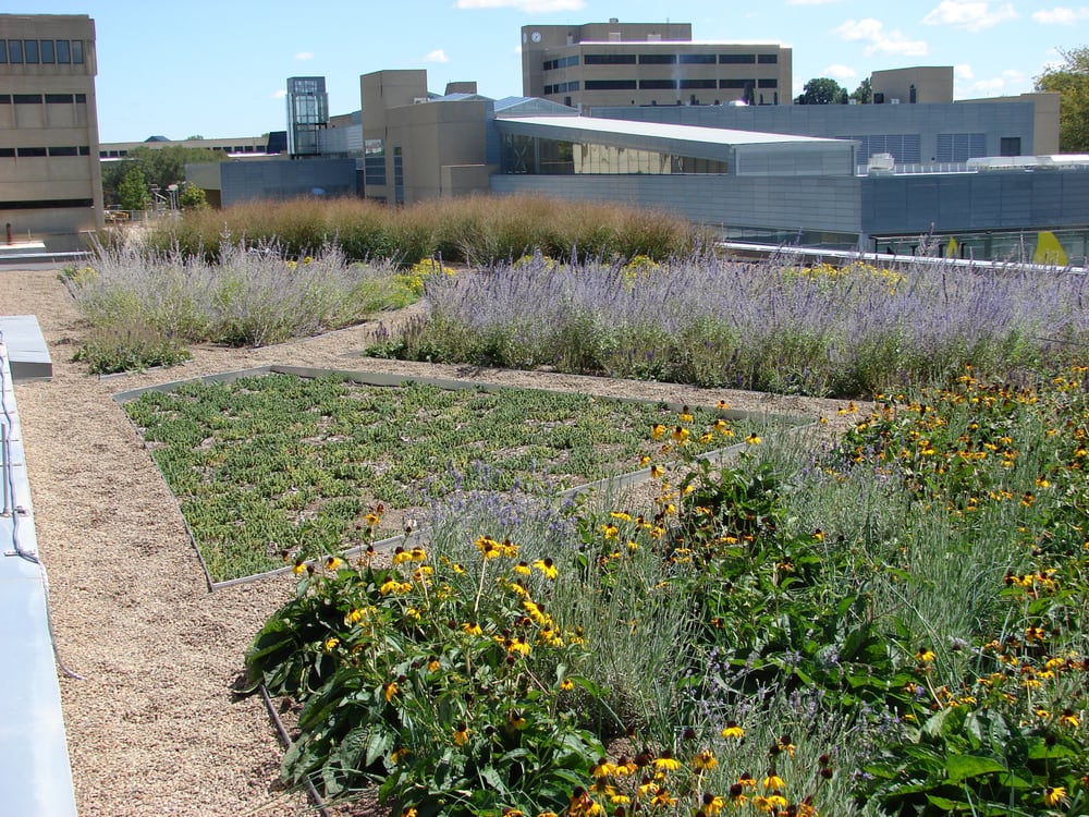 Green City Resources - Gardeners - 5912 Kellogg Ave, California