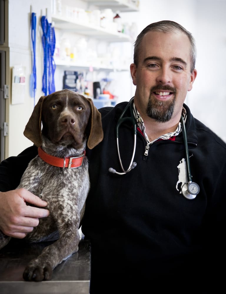 Boston Road Animal Hospital Dr. Heather White Torbay Road Animal Hospital Veternarians in