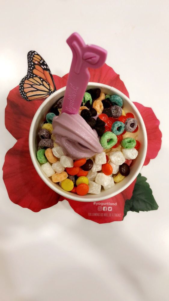 Yogurtland 69 Photos & 192 Reviews Ice Cream & Frozen Yogurt 4513