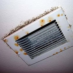 Air Allergen Mold Testing Request A Quote 15 Photos Home Photo Of Air Allergen Mold Testing Stone Mountain Ga United States
