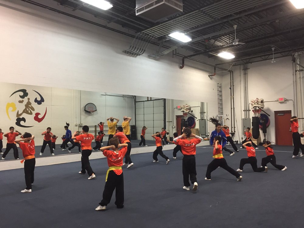 Professional Martial Arts Academy
