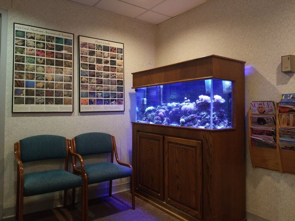 image of business Warren F Biel, DDS