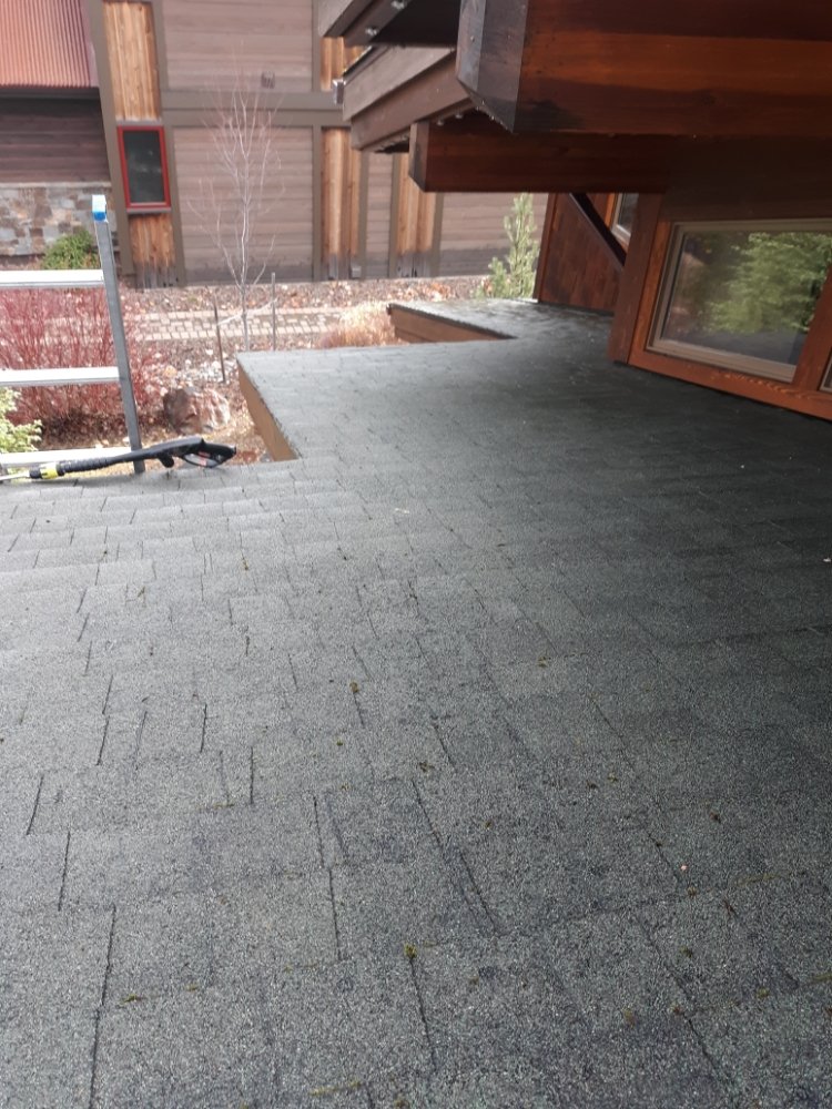 Omni Carpet and Window Cleaning