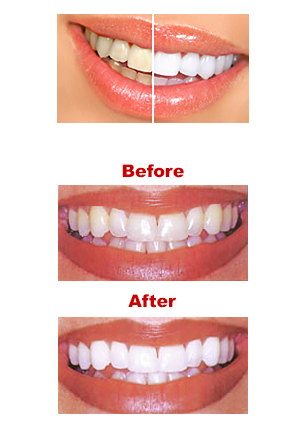 image of business Prime Dental