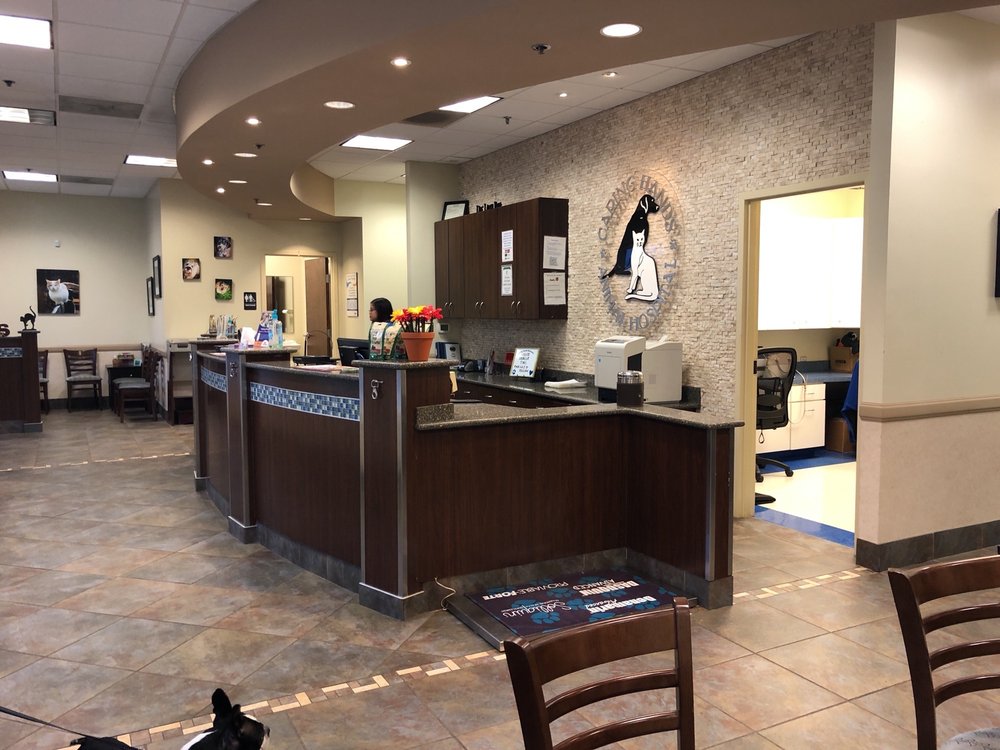 Caring Hands Animal Hospital