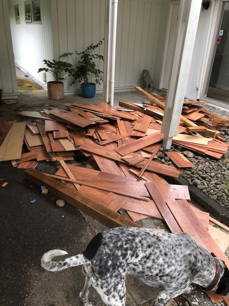 Trash Bagz Junk Removal