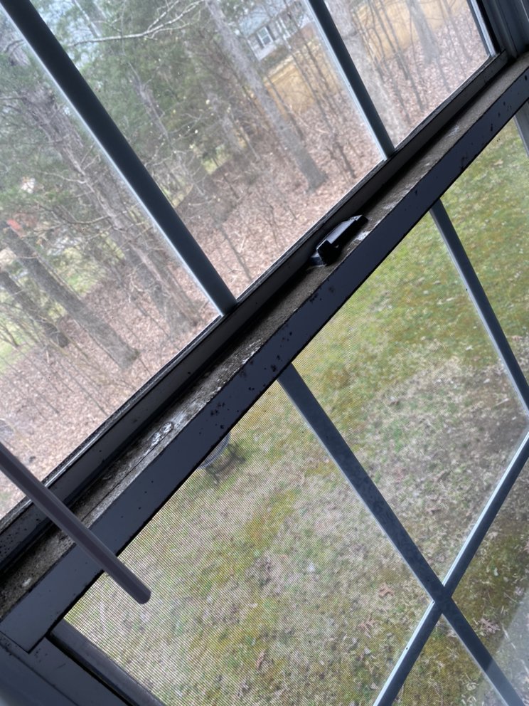 Nancy's General Cleaning Services