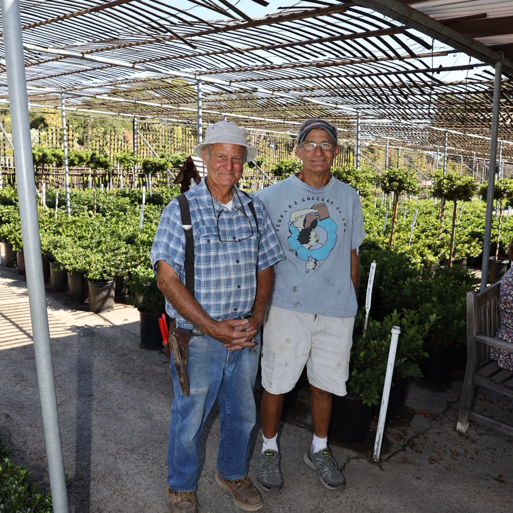 Nuccio's Nurseries