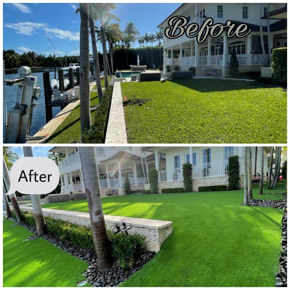 Easy Care Grass