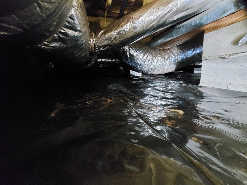 Crawl Right Solutions