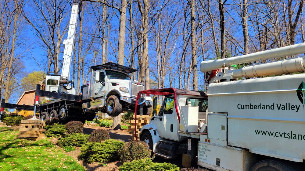 Cumberland Valley Tree Service - Landscaping