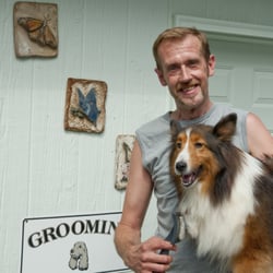 Dog Grooming School Knoxville Tn Dog Grooming School Knoxville Tn
