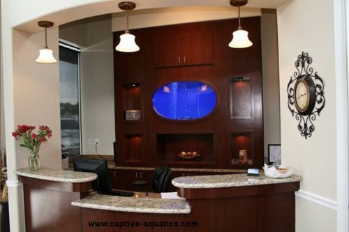image of business Teethwise Dental