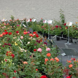 Grant Line Nursery Garden Center 52 Photos Nurseries Photo Of Grant Line Nursery Garden Center New Albany In United States