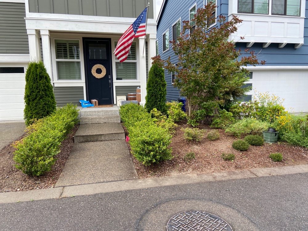 Esteban’s Landscaping & Construction