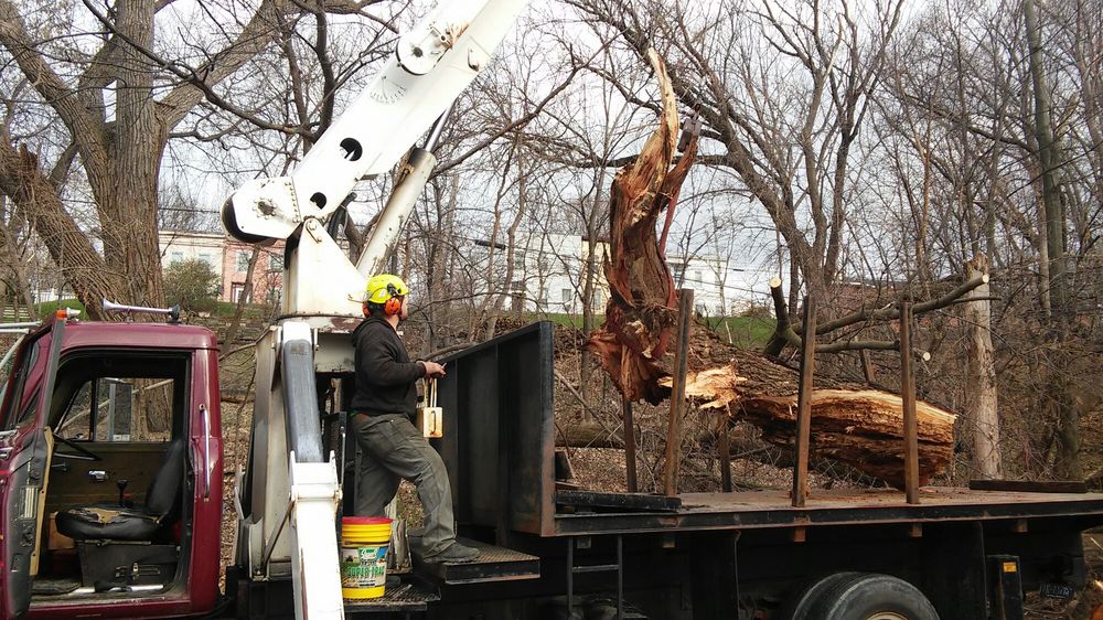 Ben S Tree Service Gift Card Castleton On Hudson Ny Giftly