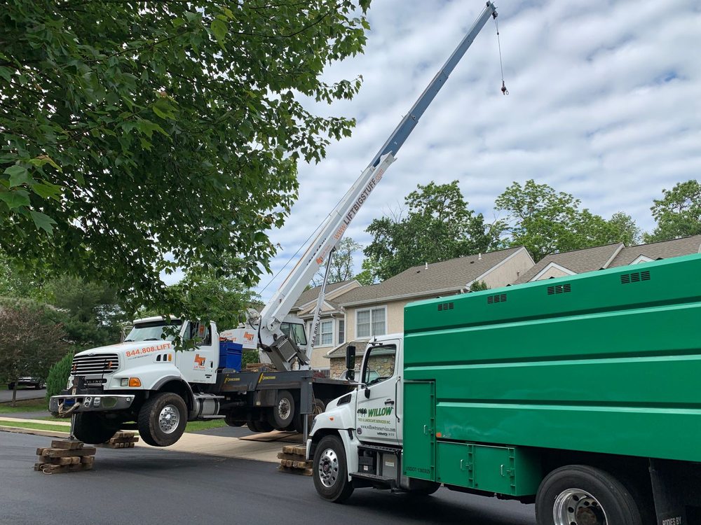 Willow Tree & Landscape Services