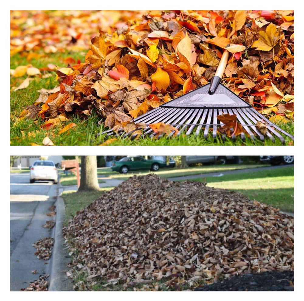 Centeno Landscaping
