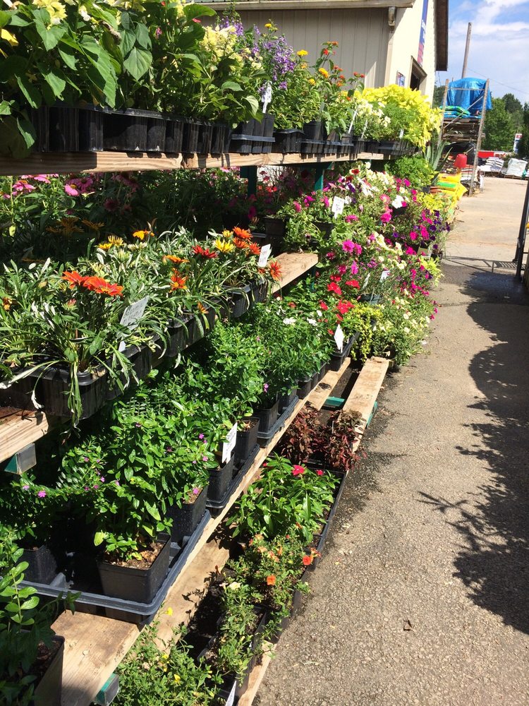 Elrod Garden Center Nurseries & Gardening 260 Merchants Dr, Dallas