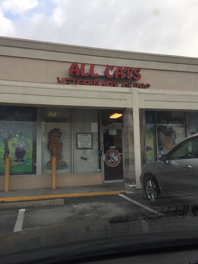 All Cats Veterinary Clinic 26 Reviews Veterinarians 9119 Stella