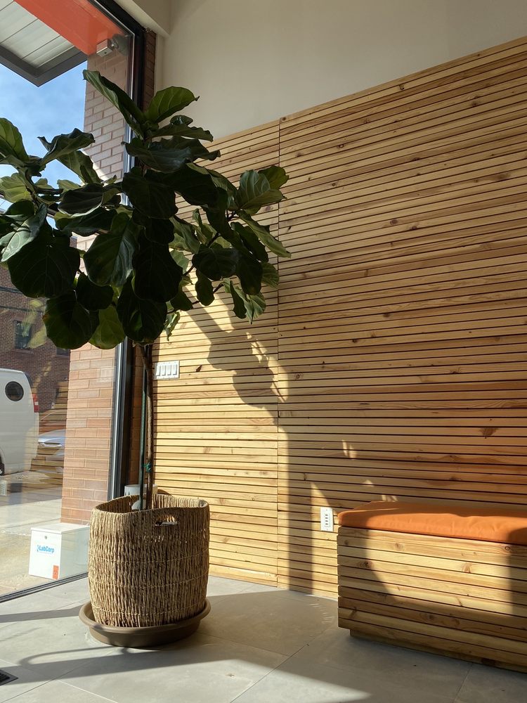 image of business Leaf Medical