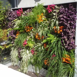 We now offer plant walls/vertical gardens for indoor and patio. - Yelp