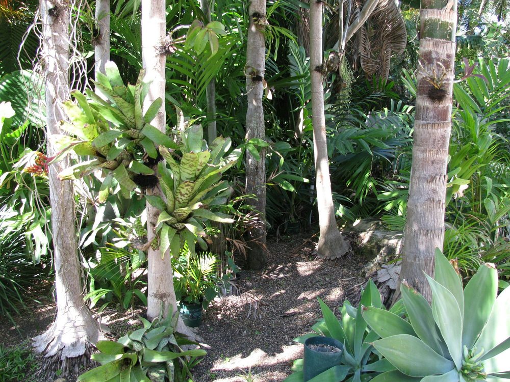 Allen Fossi Gardener