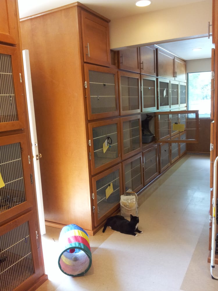 Tails A Waggin Dog Cat Inn Bothell Wa Tails A Waggin Dog Cat Inn Bothell Wa