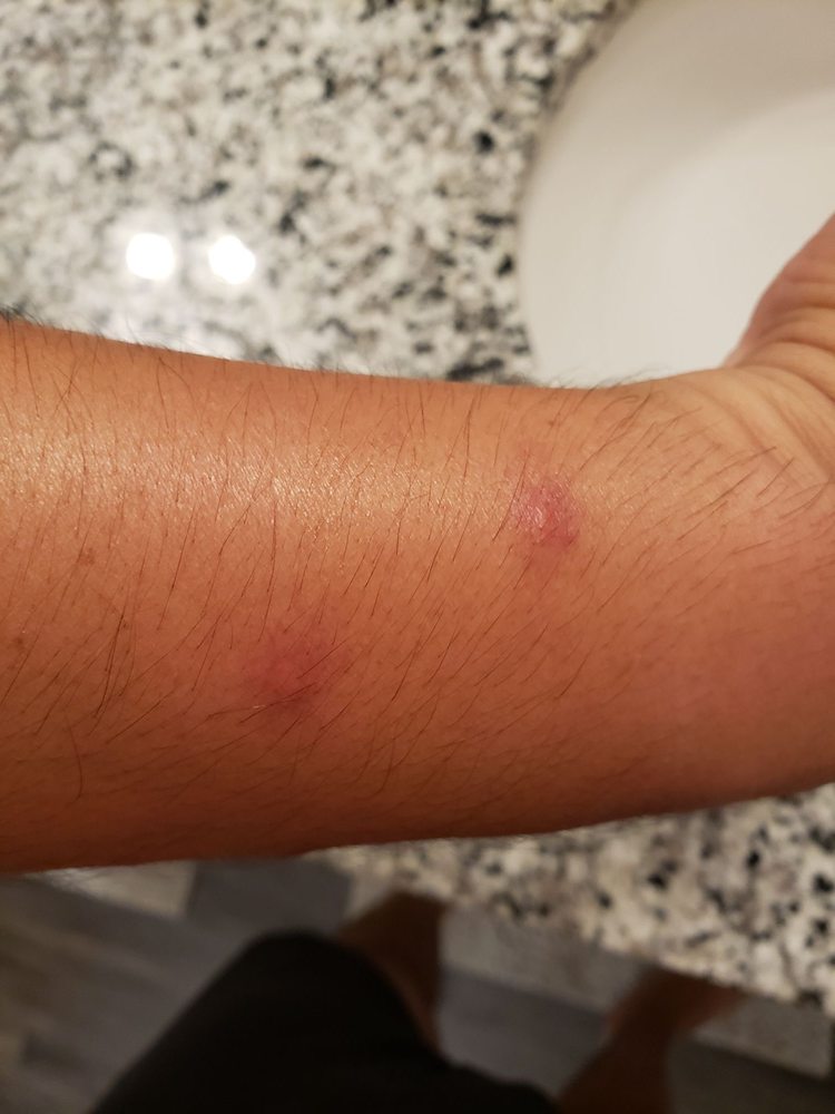 Holiday Inn Express & Suites Richland