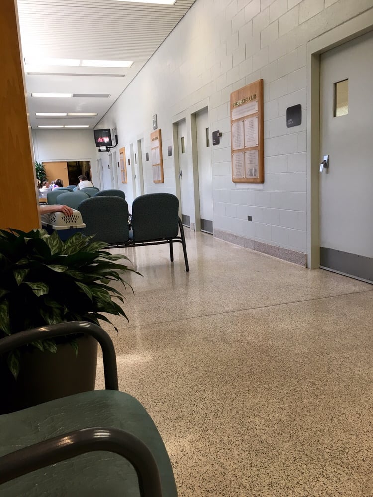 University Of Tennessee College Of Veterinary Medicine Veterinarians