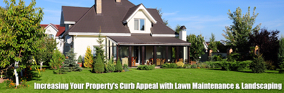 Sarasota Lawn Care Service