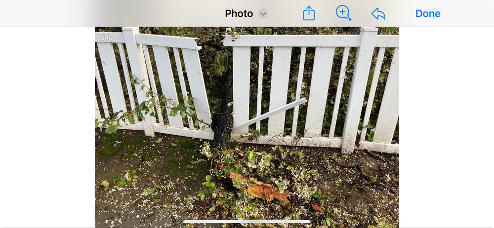 Fence-World