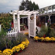 Central Nurseries 12 Photos 10 Reviews Gardening Photo Of Central Nurseries Johnston Ri United States Mums