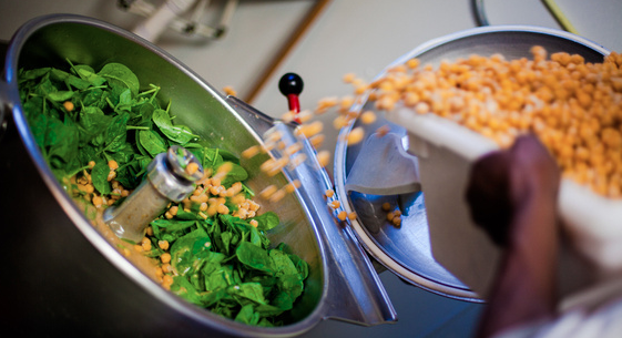 Roots Organic Gourmet