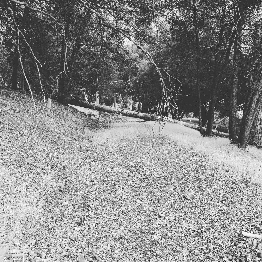 image of business WAABI Studio