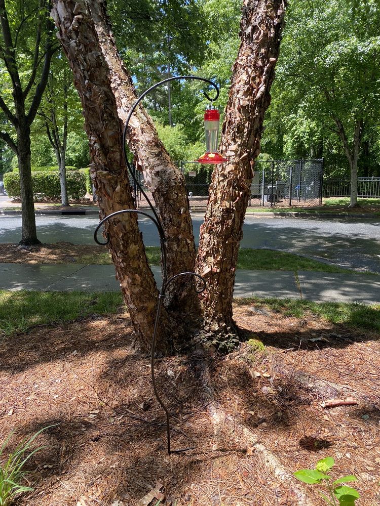 Lowe's Home Improvement